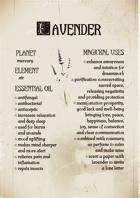 Magical uses of lavennder